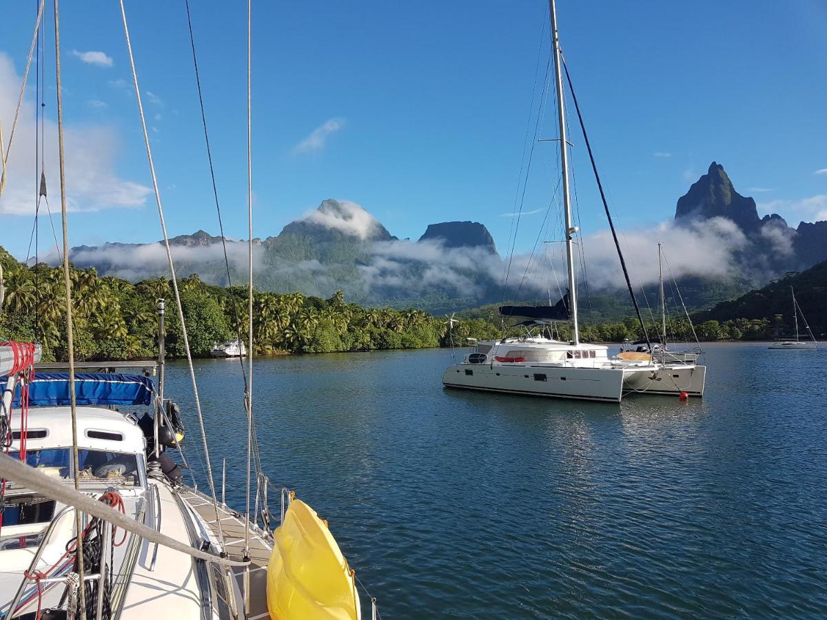 2 Nuits Insolites & 1 Excursion Voile A Bord Du Voilier Mori Ora Moorea Kültér fotó
