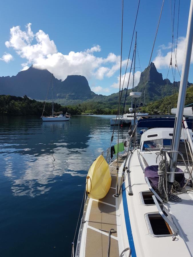 2 Nuits Insolites & 1 Excursion Voile A Bord Du Voilier Mori Ora Moorea Kültér fotó